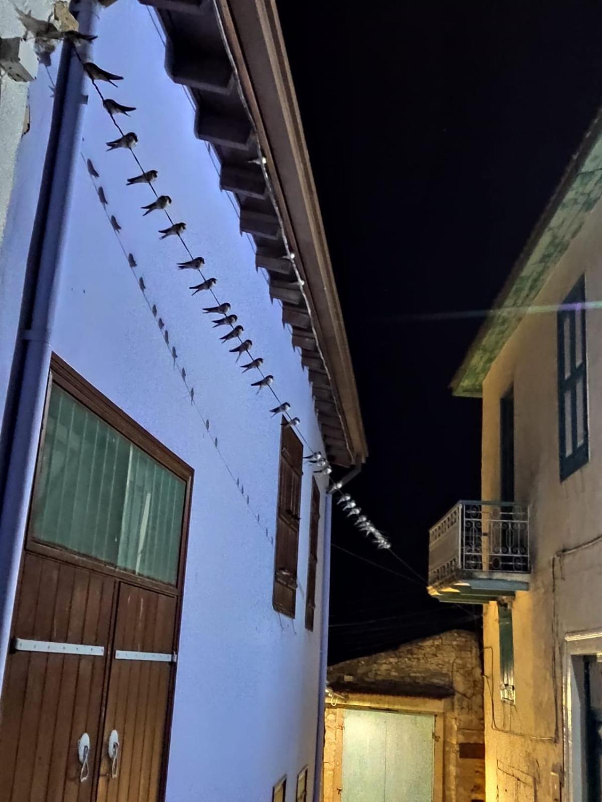 7Kamares Guest House Pano Lefkara Exterior photo