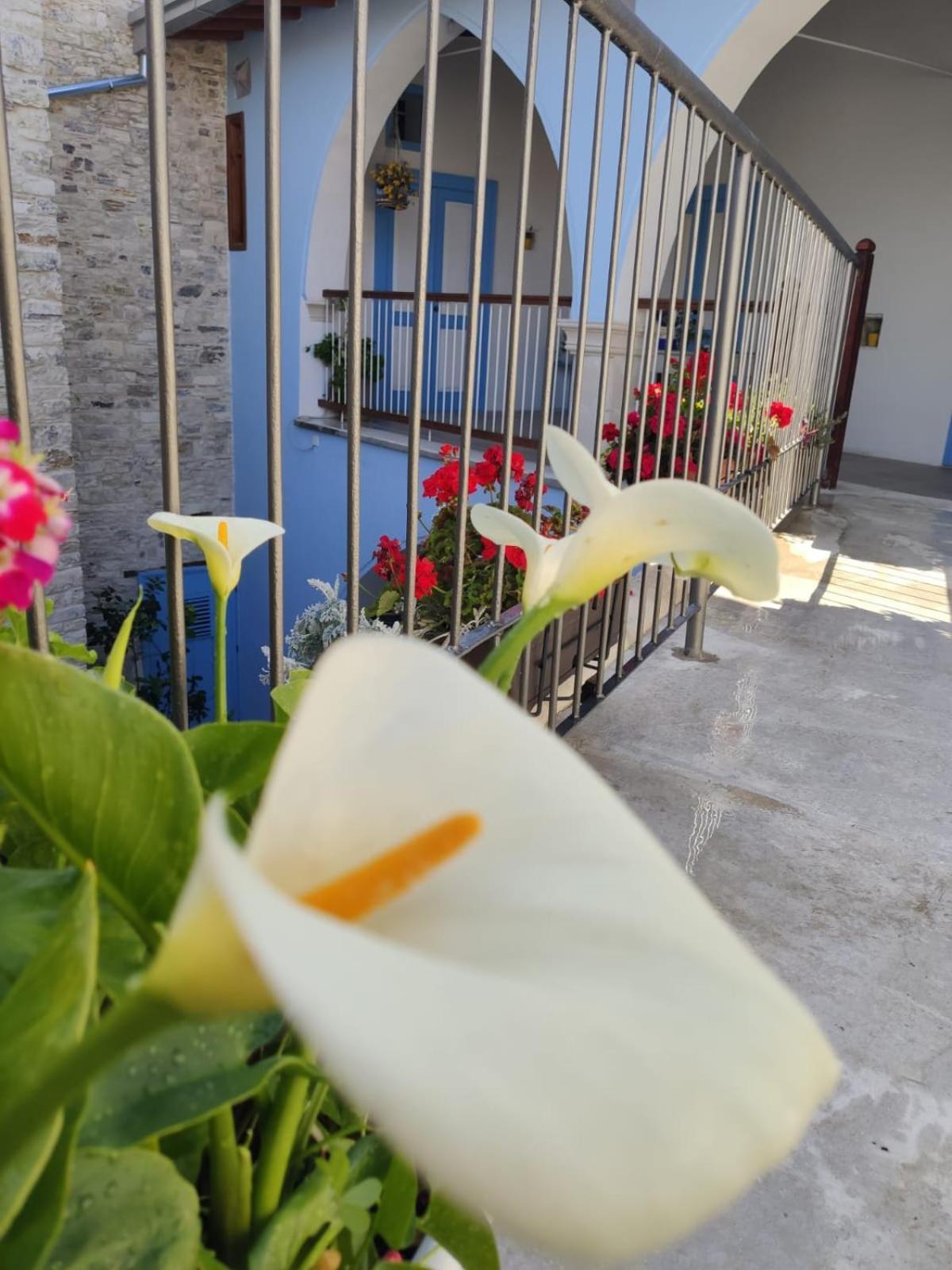 7Kamares Guest House Pano Lefkara Exterior photo