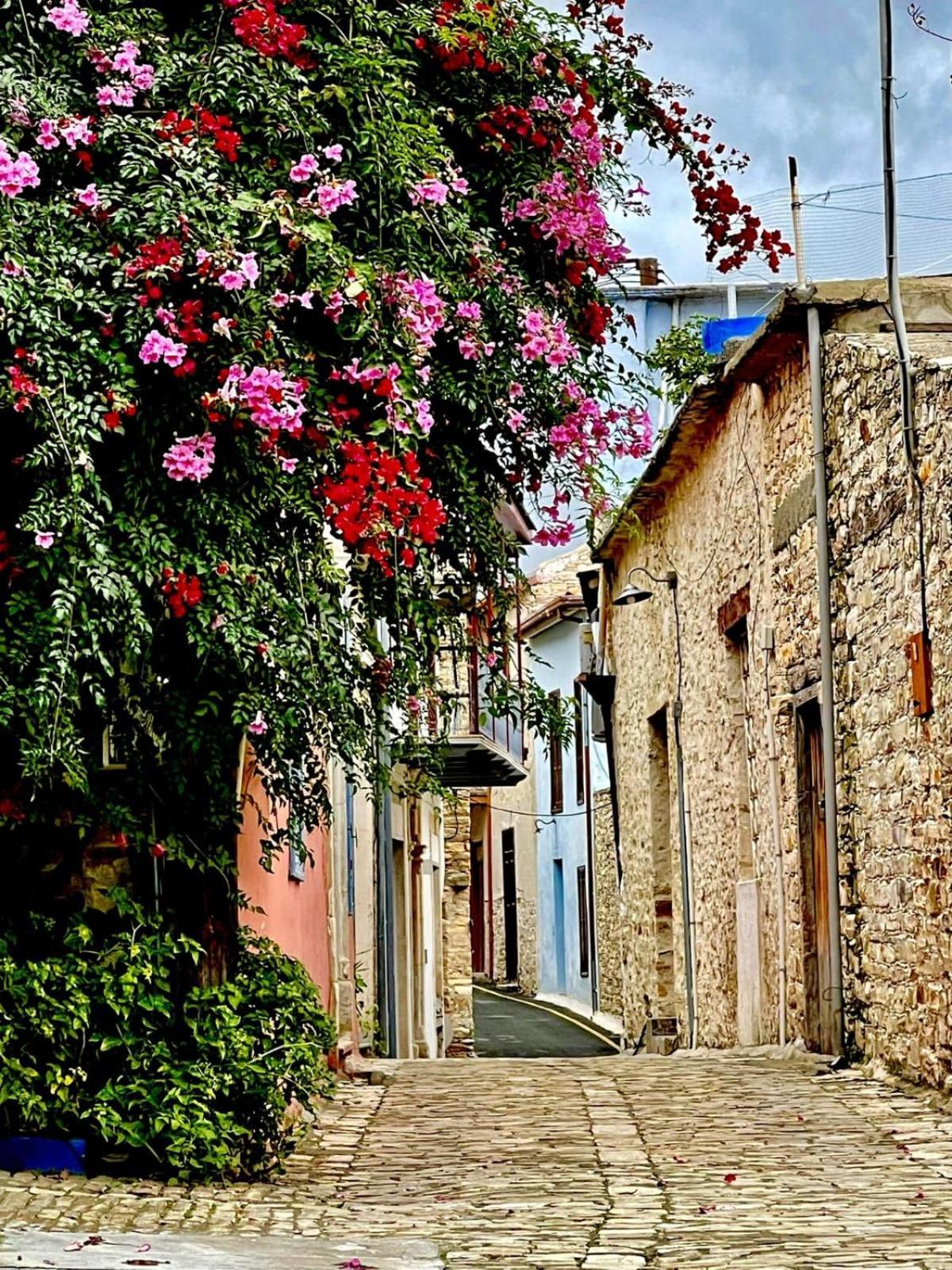 7Kamares Guest House Pano Lefkara Exterior photo